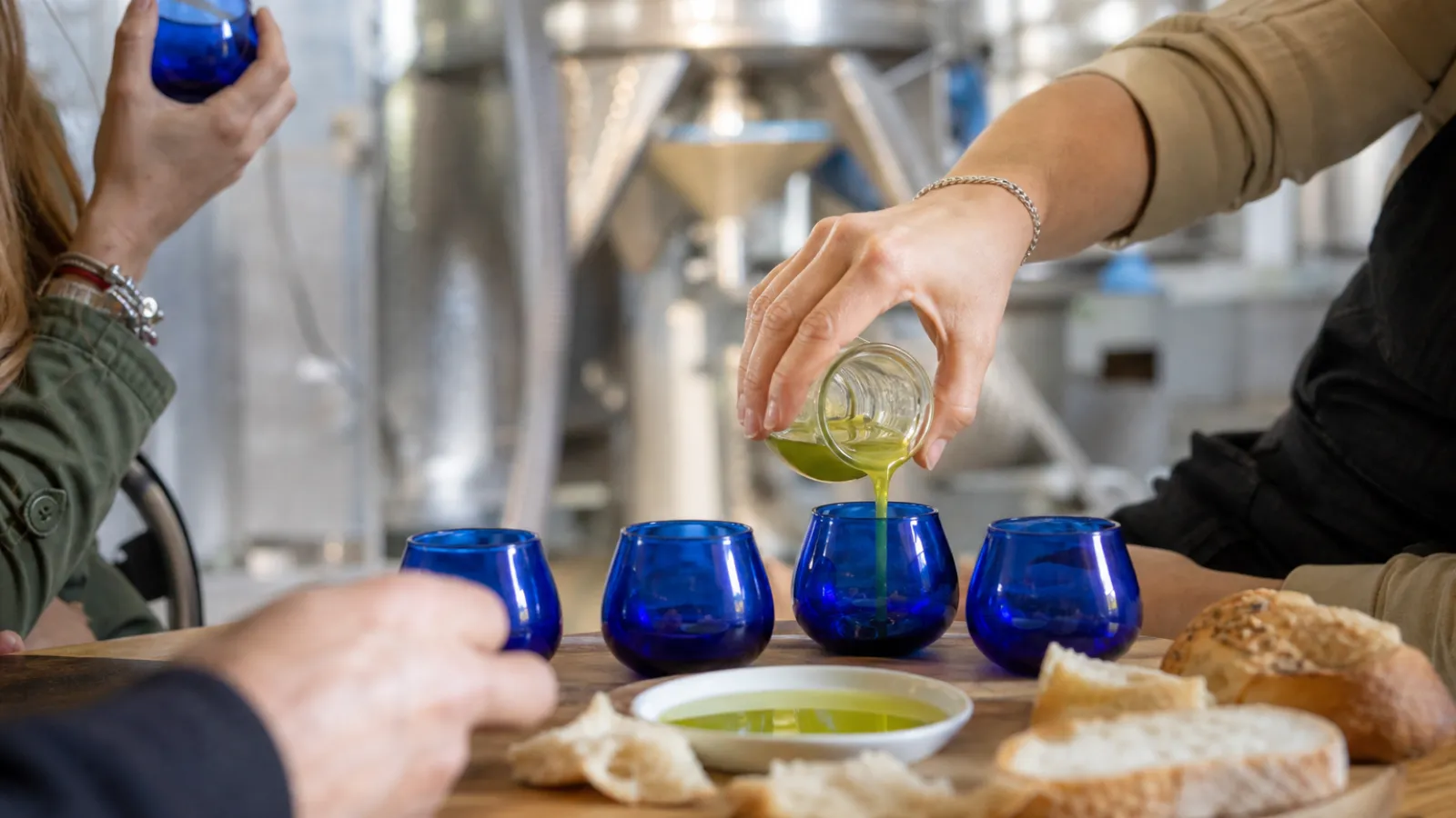 Degustazione di olio nuovo calabrese con pane e bicchieri da assaggio in frantoio