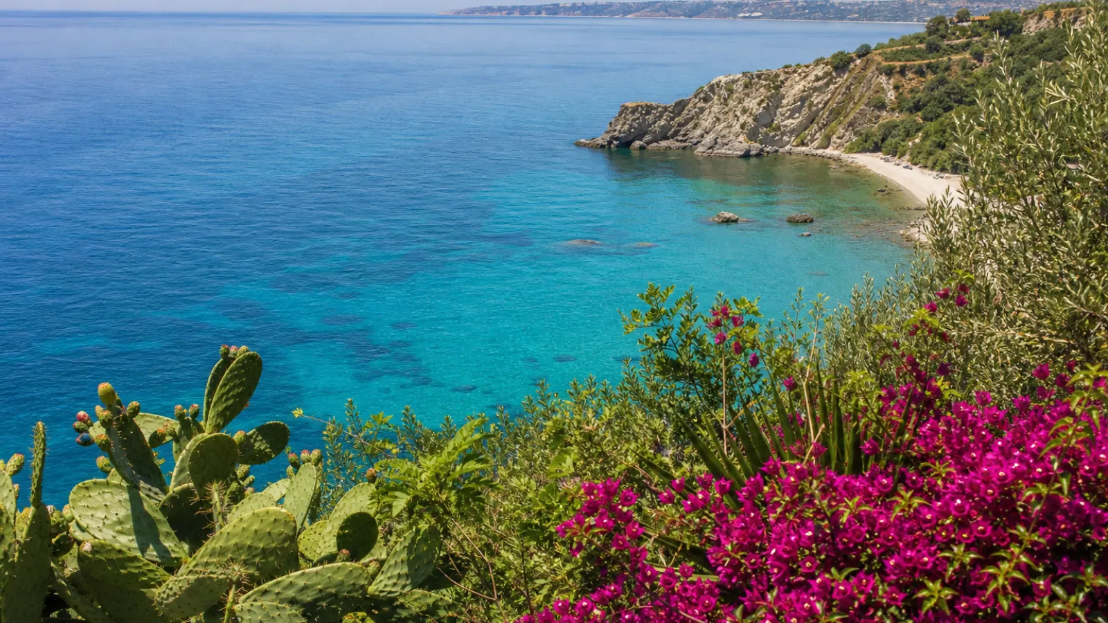 Sentiero sul Monte Poro con vista sulla costa tirrenica e uliveti